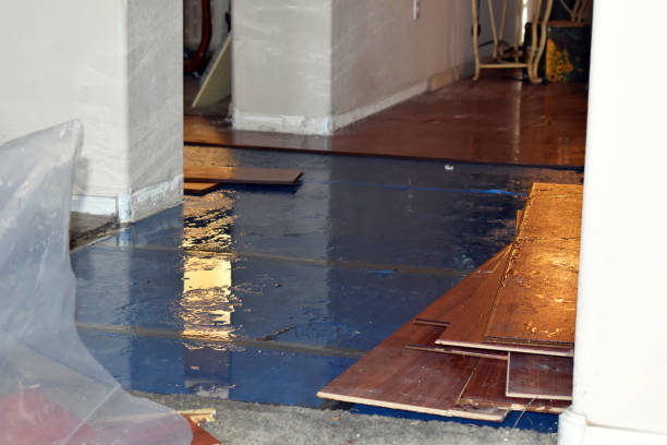 Professional Burst Pipe Cleanup technician working in Brookings, OR